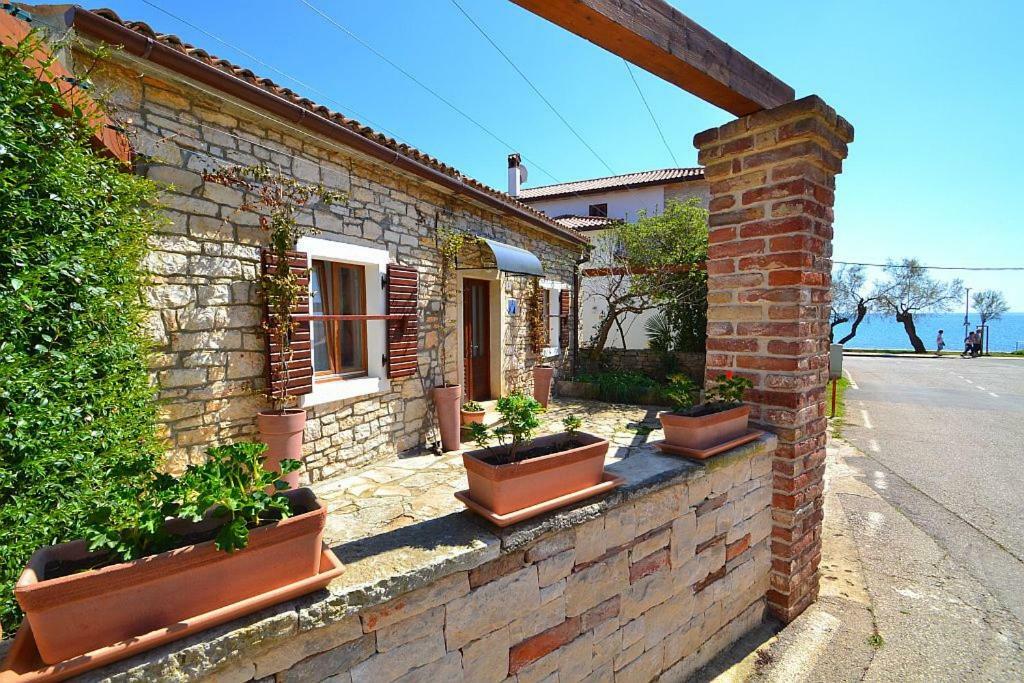 Villa Giardin Novigrad  Ngoại thất bức ảnh