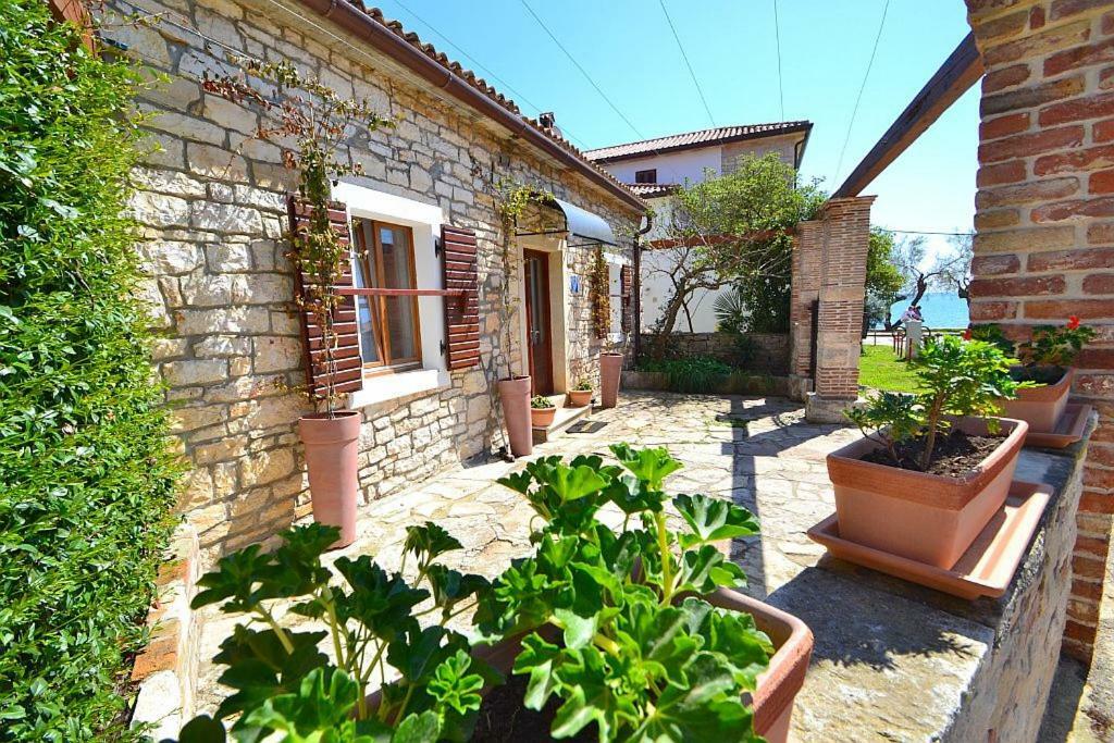 Villa Giardin Novigrad  Ngoại thất bức ảnh